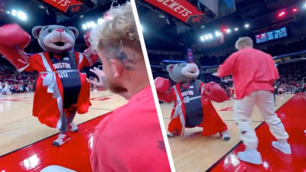 Jake Paul mept mascotte knock-out tijdens NBA-wedstrijd in Minnesota