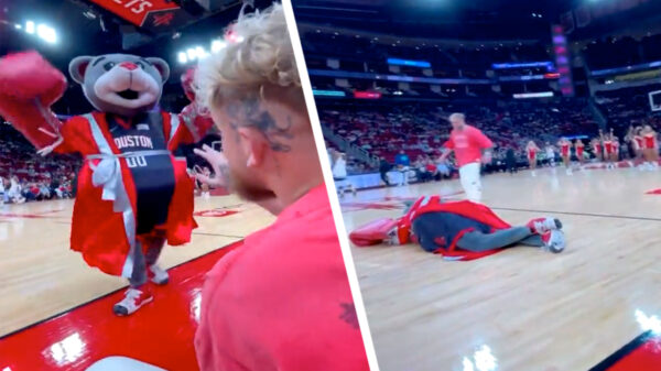 Jake Paul mept mascotte knock-out tijdens NBA-wedstrijd in Minnesota