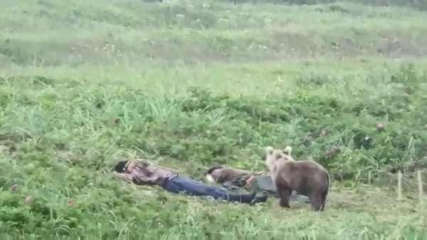 Nieuwsgierige beer maakt twee Russische kameradski's wakker
