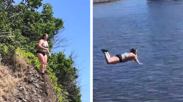 Schoonspringster heeft nou niet bepaald een verticale landing