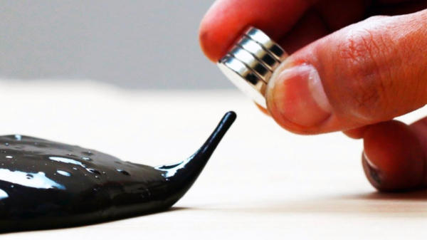 Freaky: slijmerige magneetrobot kan je lichaam in om daar objecten vast te grijpen
