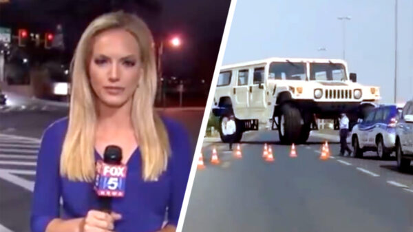 Heerlijke randomness in een nieuwe Coubcompilatie (156)