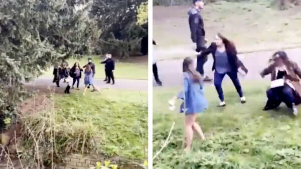 Politie grijpt 'hardhandig' en accuraat in tijdens catfight