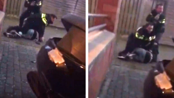 Brutaal snotaapje heeft grote mond tegen agent, wordt op gepaste wijze naar de grond gewerkt