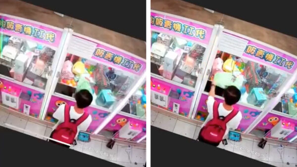 Eindbaas scoort de hoofdprijs bij de grijpautomaten op de kermis