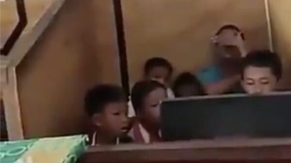 Busted: koters ontdekken de wondere wereld van natuurfilmpjes op internet