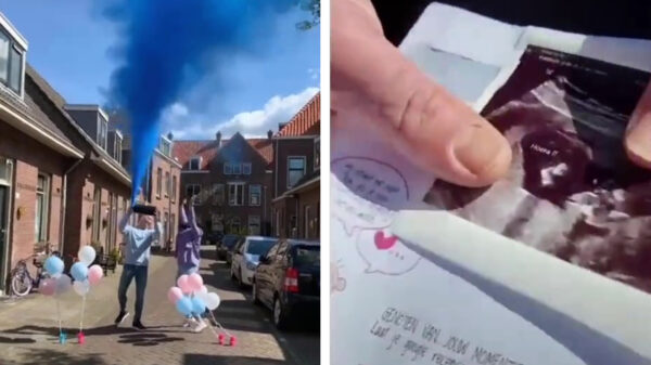 De makers van deze gender reveal hadden slechts één taak...