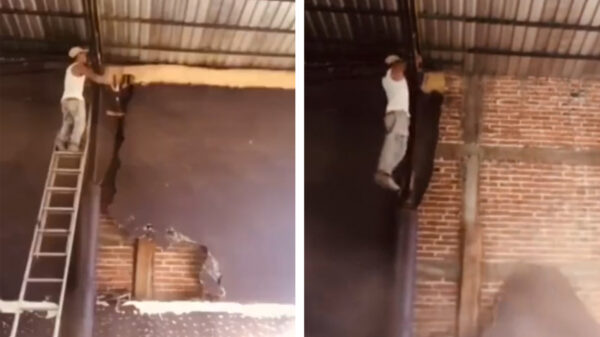 Het avontuur van de klussende klusser en zijn listige ladder