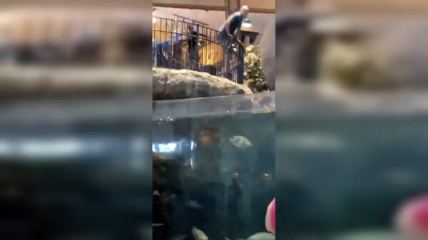 Anders neem je even een verkoelende duik in een supergroot aquarium