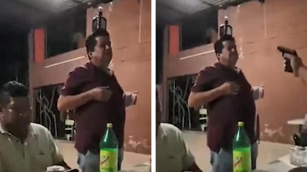 Waarom vrouwen langer leven dan mannen, deel 7854