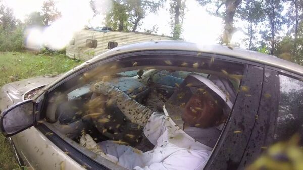 Waarom je in Louisiana beter geen Uber kunt bestellen