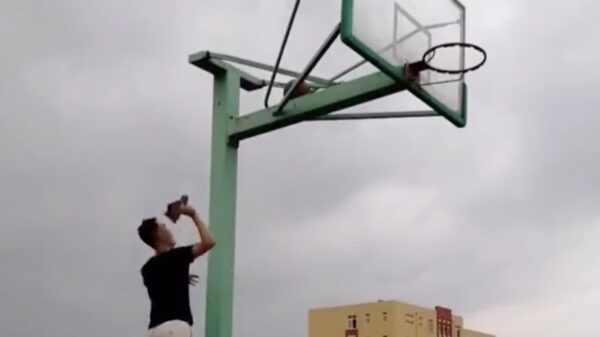 Zo ziet een originele nietskunner eruit