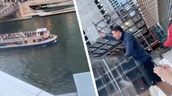 Hallo iedereen, ik heb goed nieuws: mijn zus is zwanger