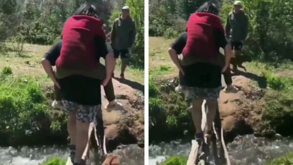 Hoffelijke heer helpt jonkvrouw veilig naar de overkant