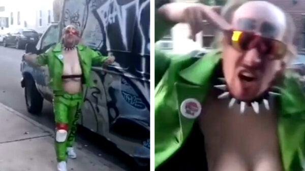 Een bijzonder schepsel uit het land van de onbegrensde mogelijkheden