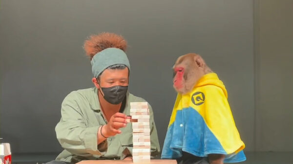 Slechte verliezer laat zich behoorlijk kennen tijdens een potje Jenga