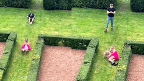 Eindelijk iemand die weet hoe je influencers aanpakt