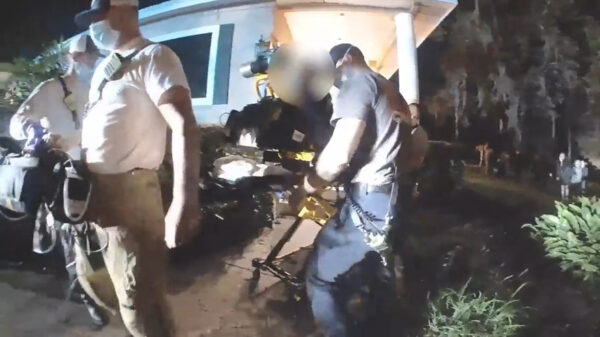 Onvergetelijke dag: nietsvermoedende gasten onwel op bruiloft als er wiet in het eten is gestopt