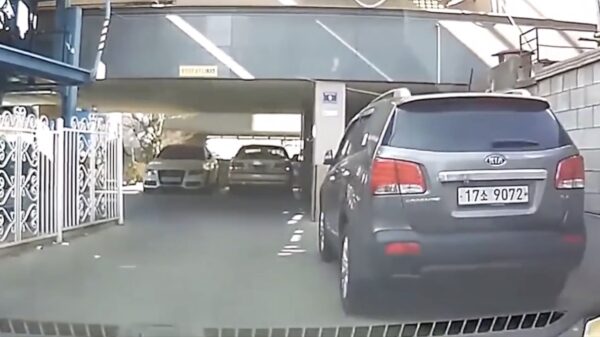 Het blijft een raadsel hoe sommige figuren aan een rijbewijs komen