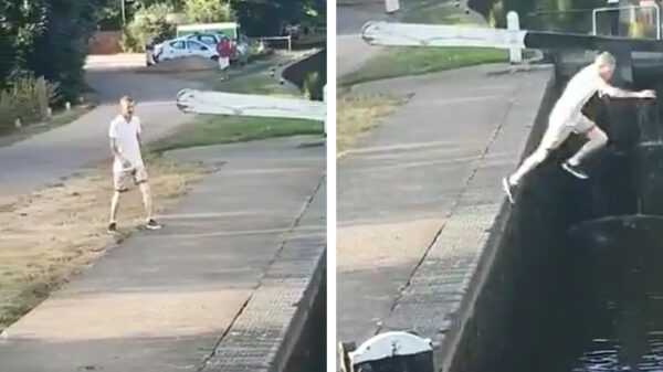 Den Dave wint de award voor meest halfslachtige sprong van de dag