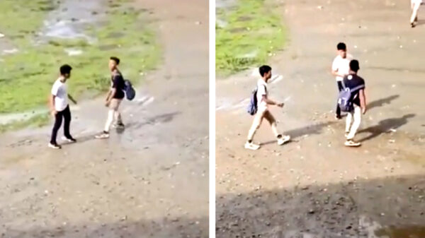 Held maakt in één klap korte metten met twee ruziënde mannetjes