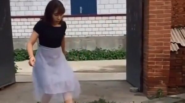 Fittie tussen twee kippen en een gans