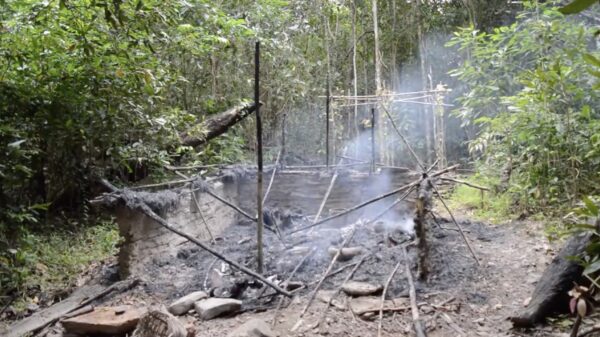 Als je primitieve huis compleet is afgebrand dan zit er maar één ding op: opnieuw bouwen