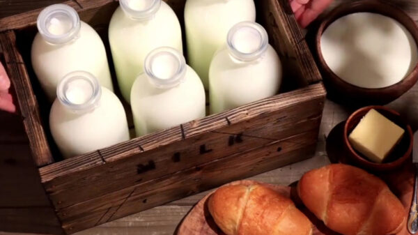 Knutselaar maakt met zijn houtbewerking geniale stopmotionvideo