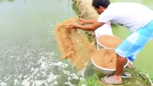 Er zijn "professionals" die zelfs hier met lege handen thuiskomen