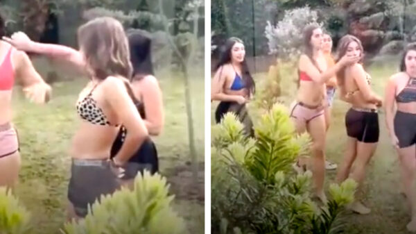 Bah. Het bewijs dat vrouwen stiekem ongelooflijke viespeuken zijn