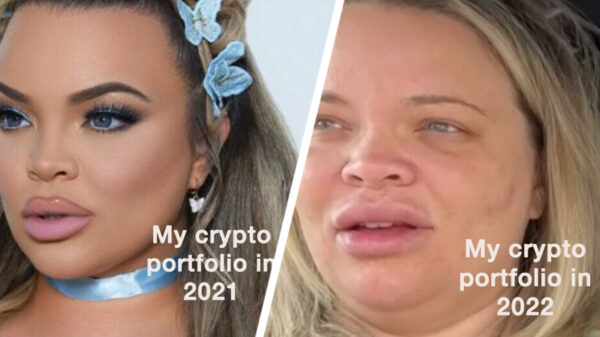 19 confronterende doch hilarische cryptomemes om de moed er een beetje in te houden