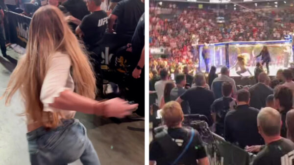 Wat kan er misgaan als ik die UFC-octagon vol security bestorm?