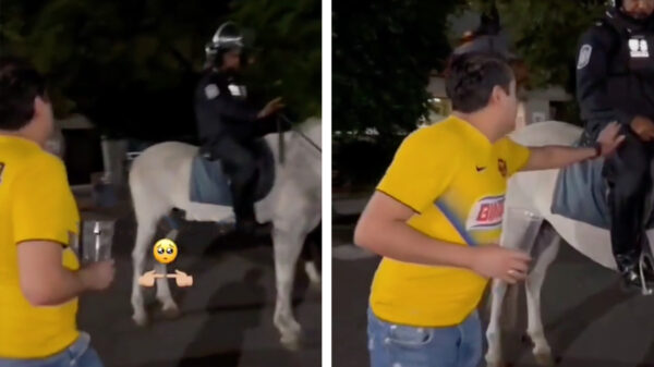 Awwww zo schattig, mag ik hem misschien even aaien?