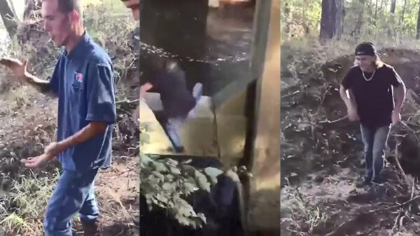 Beginnende parkourkneuzen moeten nog oefenen willen ze pro worden