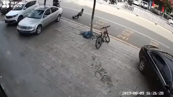 Koter heeft Segway niet onder controle en wordt bijna ondersteboven gereden