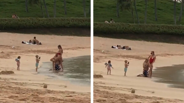 Kinderen helpen met de vakantiekiekjes van papa en zijn nieuwe vriendin