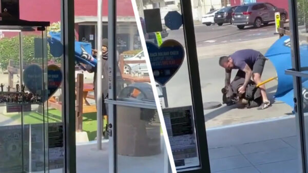 Niks daarvan gek, dat is ONZE parasol