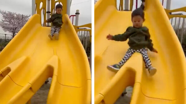 Dit was zijn eerste en meteen ook zijn laatste keer op een glijbaan