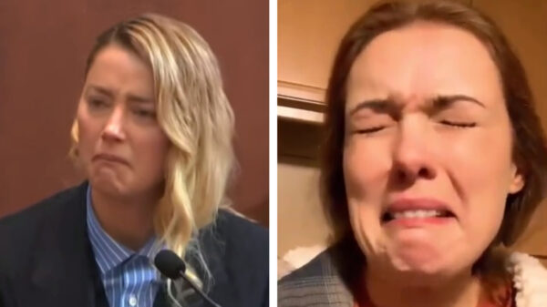 De nieuwste heerlijke rage op het internet: Amber Heard trollen