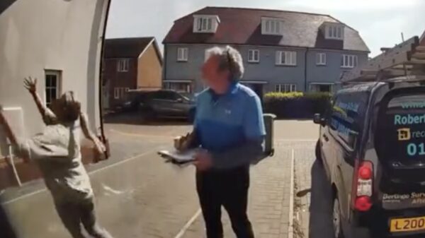 Heldin van de dag vangt haar hond die uit het raam valt