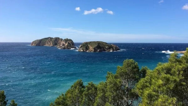 Nederlander springt van 25 meter hoge rots op Mallorca en verongelukt