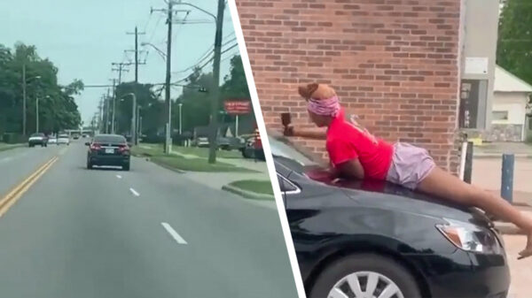 Bemoei je met je eigen zaken geldt ook bij dit road ragend koppeltje