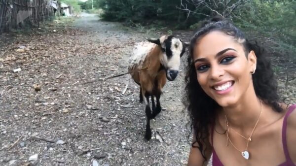 Geit laat duidelijk merken dat hij geen zin heeft in een selfie