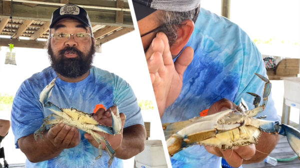 Lifehack: dankzij deze knap ranzige truc heb je elke krab binnen no time in slaap