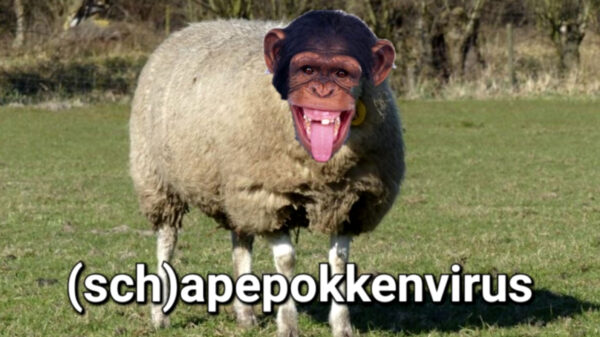 'Het internet' spuwt alweer z'n gal in deze 20 bijzondere tweets over de apenpokken