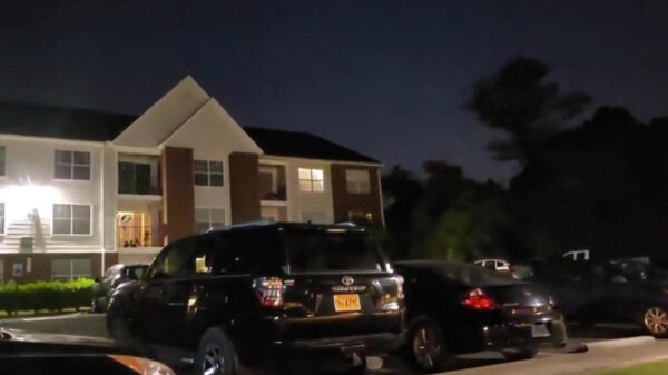 Gezellig, de buren geven weer eens een spannende schaduwvoorstelling