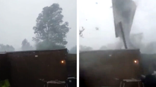 Dikke valwind in Limburg gooit iemands achtertuin compleet overhoop