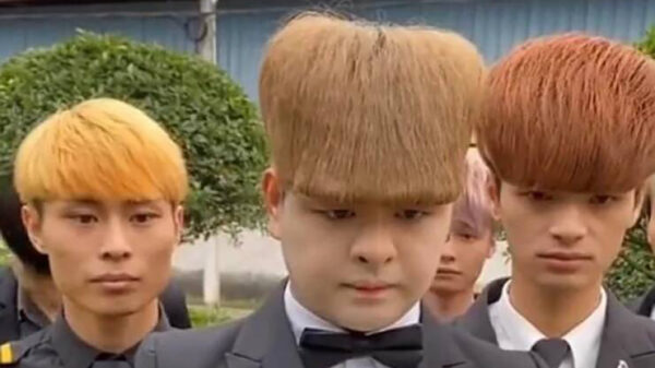 29 nieuwe voorbeelden van "doe maar een kapseltje"