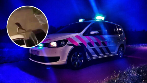 Man in koele bloede neergeschoten aan de Nassauhaven in Rotterdam