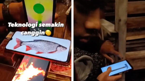 De app-ontwikkeling bevindt zich in de absolute eindfase